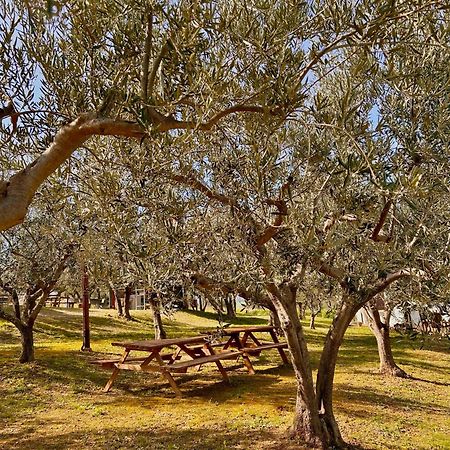 Villa Oasi Macerina Alanno Exterior foto