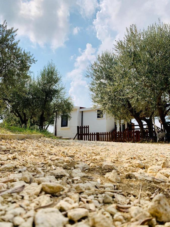 Villa Oasi Macerina Alanno Exterior foto
