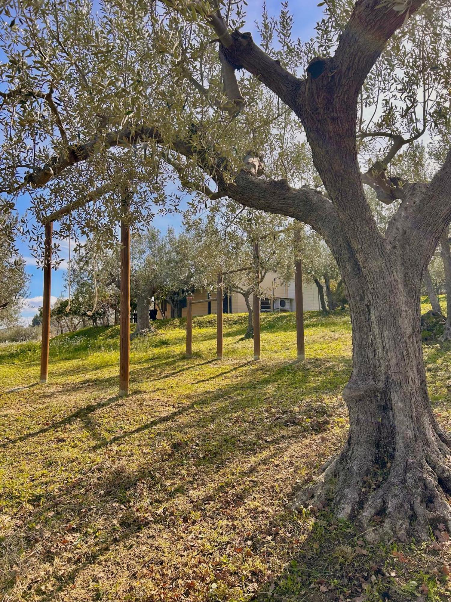 Villa Oasi Macerina Alanno Exterior foto